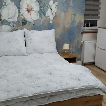 קודובה-זדרוי Apartamenty U Iwony Centrum Miasta Blisko Parku Zdrojowego מראה חיצוני תמונה