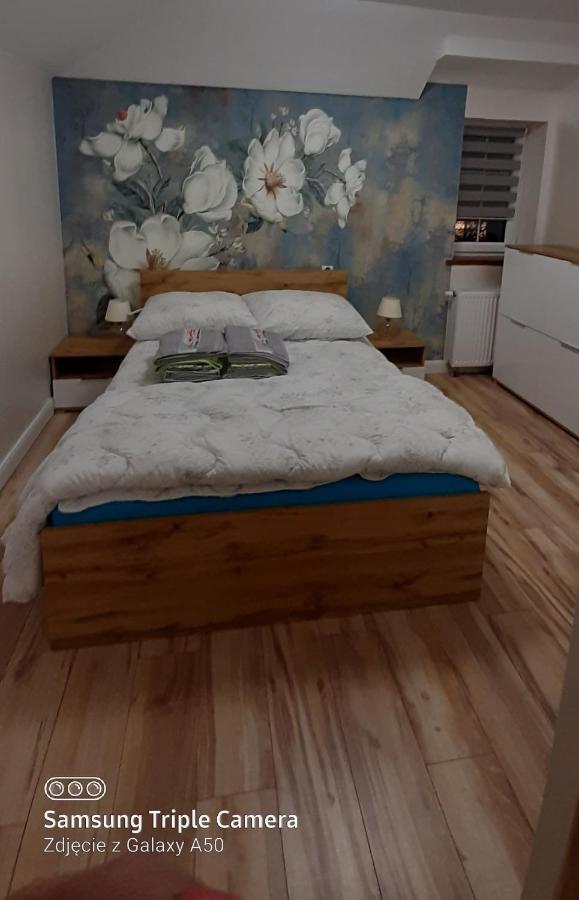 קודובה-זדרוי Apartamenty U Iwony Centrum Miasta Blisko Parku Zdrojowego מראה חיצוני תמונה