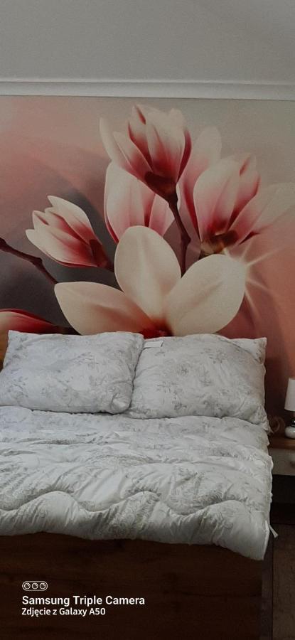 קודובה-זדרוי Apartamenty U Iwony Centrum Miasta Blisko Parku Zdrojowego מראה חיצוני תמונה